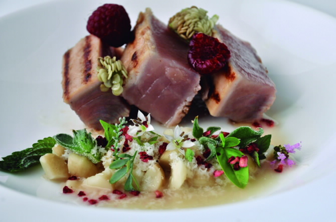 ABRASADOR GAIA TABERNA MEDIEVAL