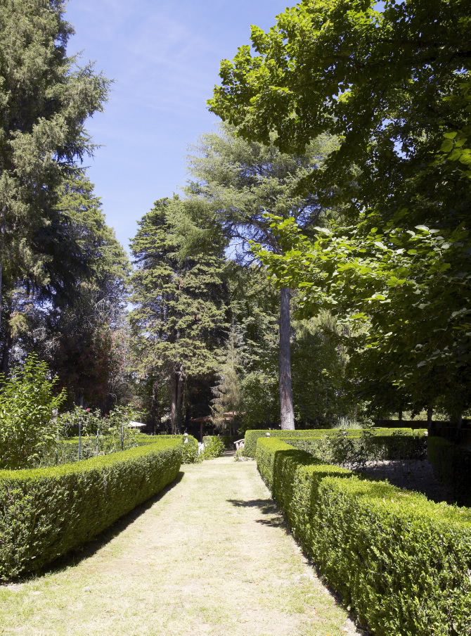 CASTELO DE MASID OU DE FERREIRA