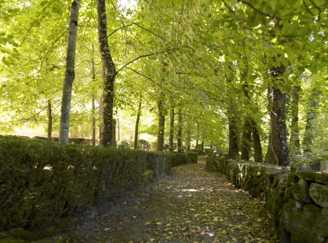 CASTELO DE MASID OU DE FERREIRA
