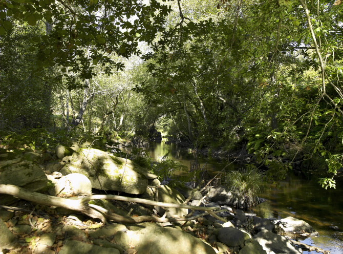 PONTE VELLA DA CASTELLANA