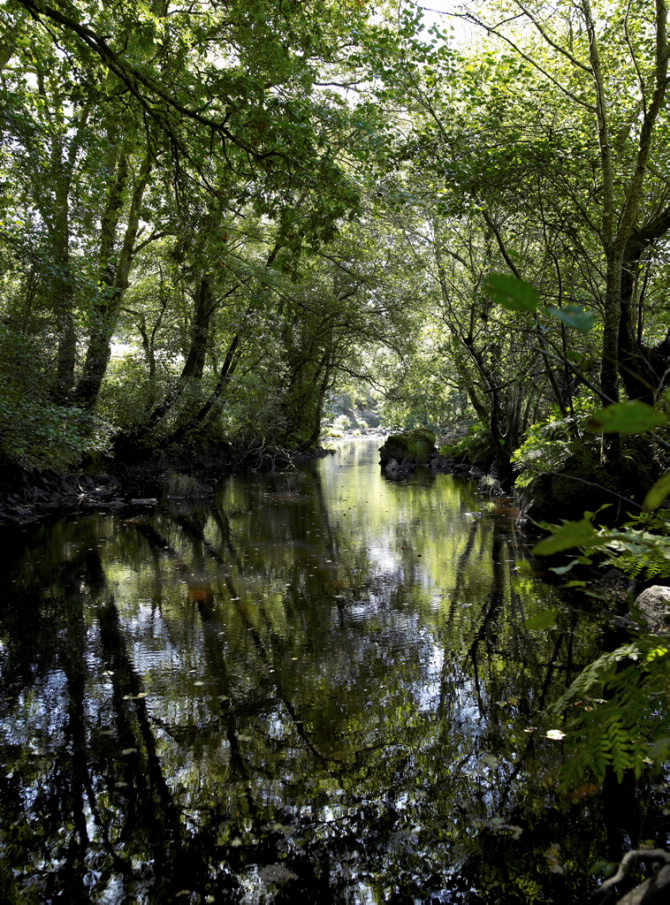 PONTE VELLA DA CASTELLANA
