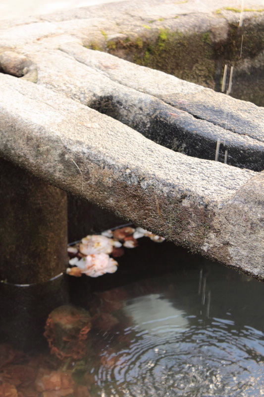 FONTE DA PRAZA DE FONSECA