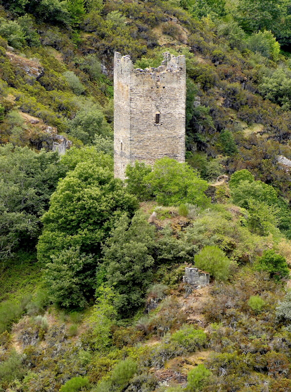 TORRE DE DONCOS