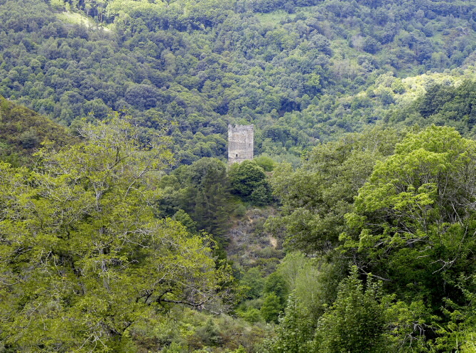 TORRE DE DONCOS