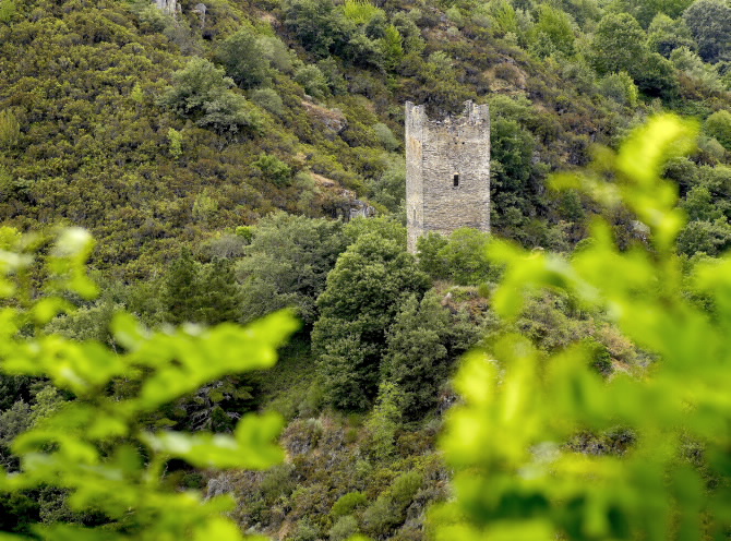 TORRE DE DONCOS