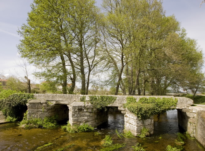 PONTE DE A FORXA