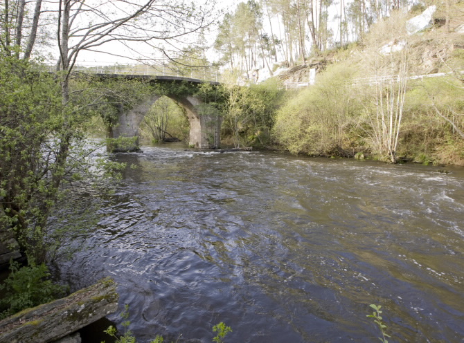 PONTE NOVA O DE GRIXÓ