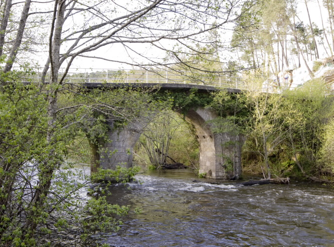 PONTE NOVA O DE GRIXÓ