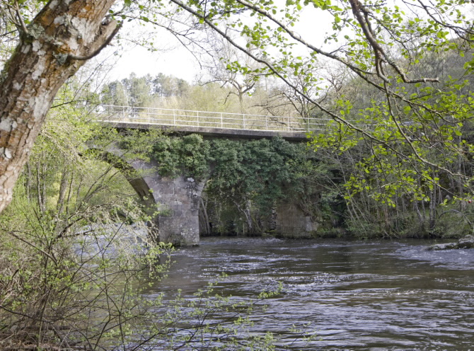 PONTE NOVA O DE GRIXÓ