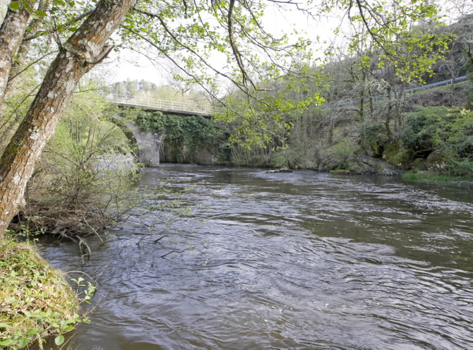 PONTE NOVA O DE GRIXÓ