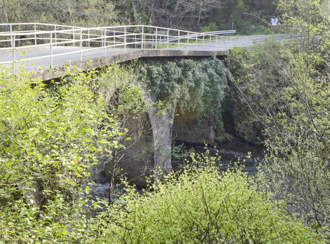 PONTE NOVA O DE GRIXÓ