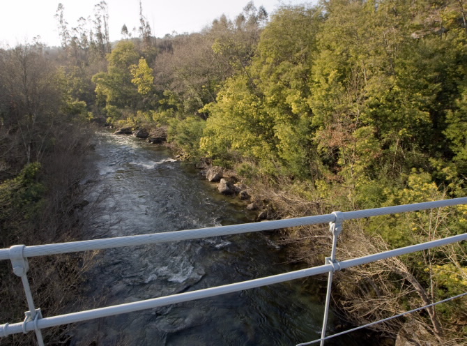 PONTE COLGANTE DE CALVELO