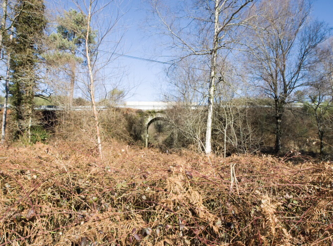 PONTE DAS CODESEIRAS