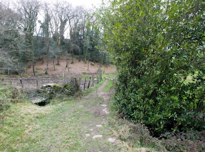 PONTE DE BARREIRIÑA