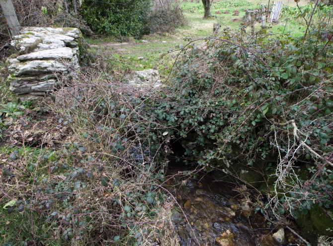 PONTE DE BARREIRIÑA