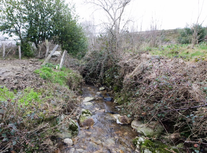 PONTE DE BARREIRIÑA