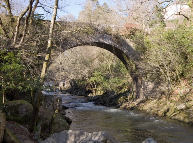 PONTE DE SEGADE