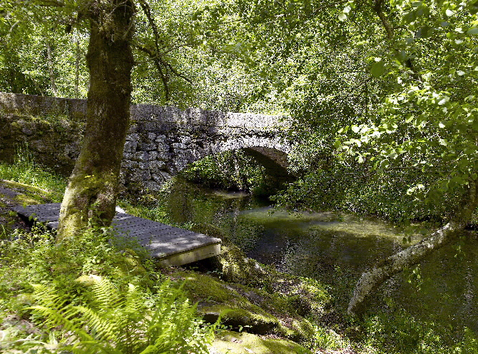 PONTE DE VILACOBA
