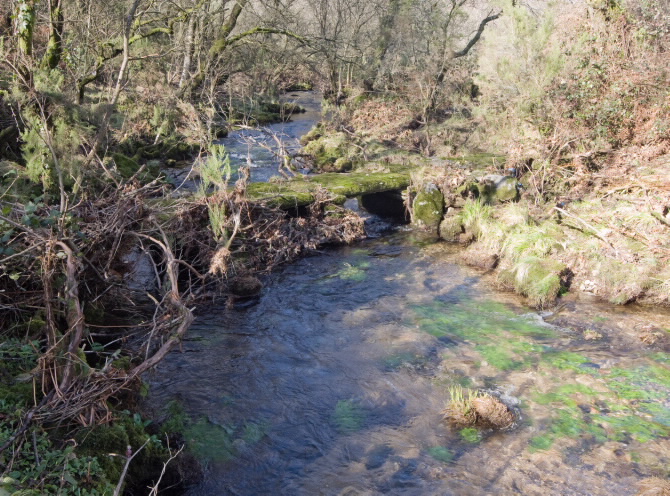 PONTE DO PORTO DAS BURATAS