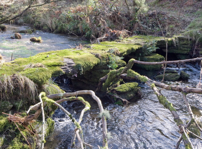 PONTE DO PORTO DAS BURATAS
