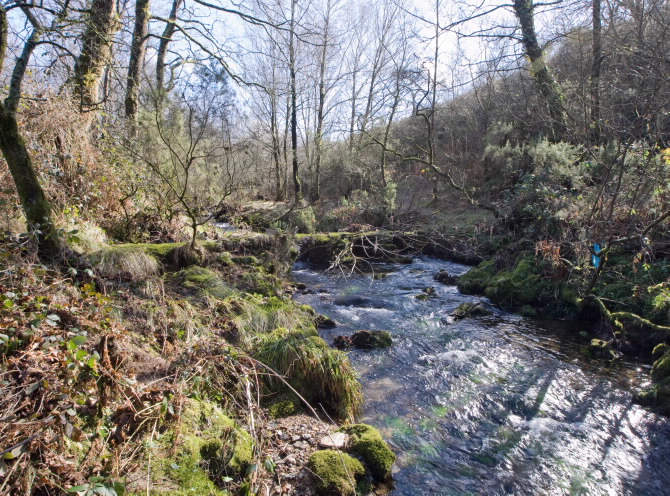 PONTE DO PORTO DAS BURATAS