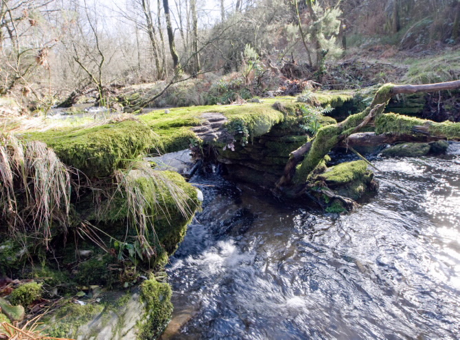 PONTE DO PORTO DAS BURATAS