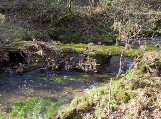 PONTE DO PORTO DAS BURATAS