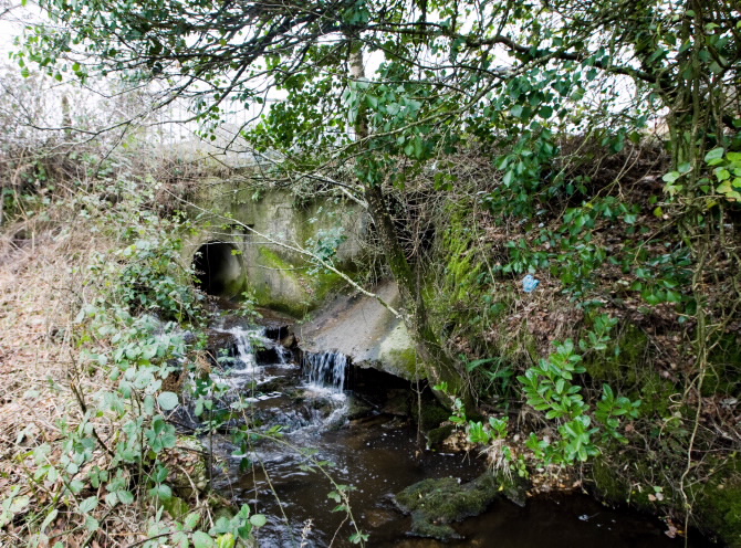 PONTE VELLA DE NOVELIZA