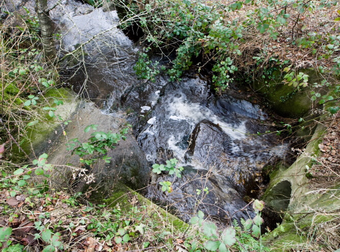 PONTE VELLA DE NOVELIZA
