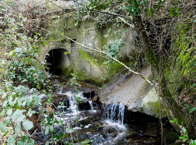 PONTE VELLA DE NOVELIZA
