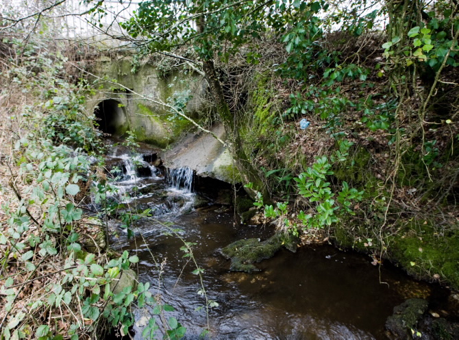 PONTE VELLA DE NOVELIZA