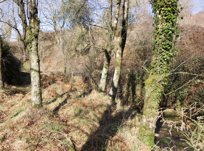PONTE VELLA DO RABELO