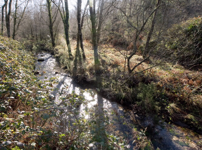 PONTE VELLA DO RABELO
