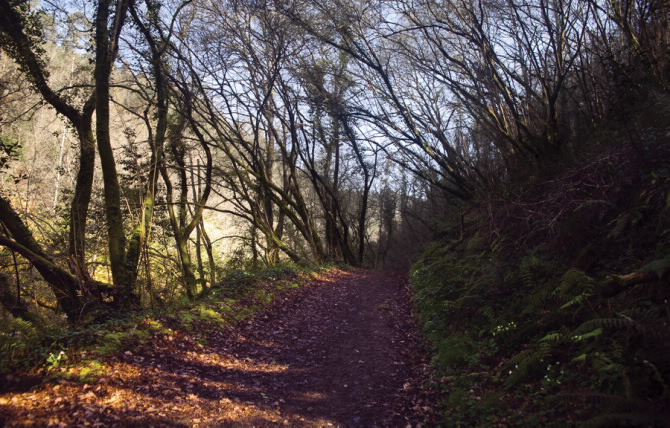 AS MARIÑAS CORUÑESAS E TERRAS DO MANDEO