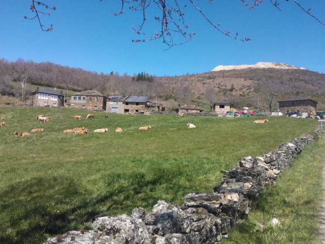 ALDEA RURAL O BUSTO