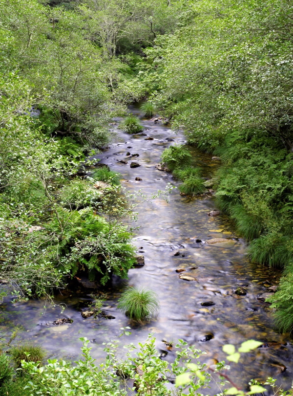 PONTE ROMANA DO PORTO