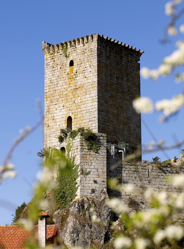 CASTELO DE ANDRADE OU NOGUEIROSA