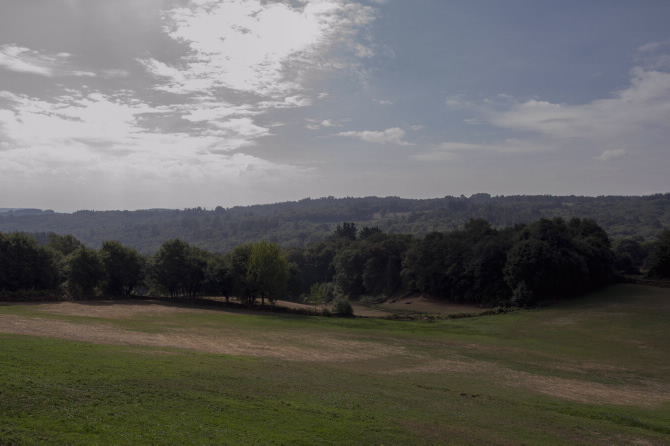 PAZO DE POMBAL, COESES