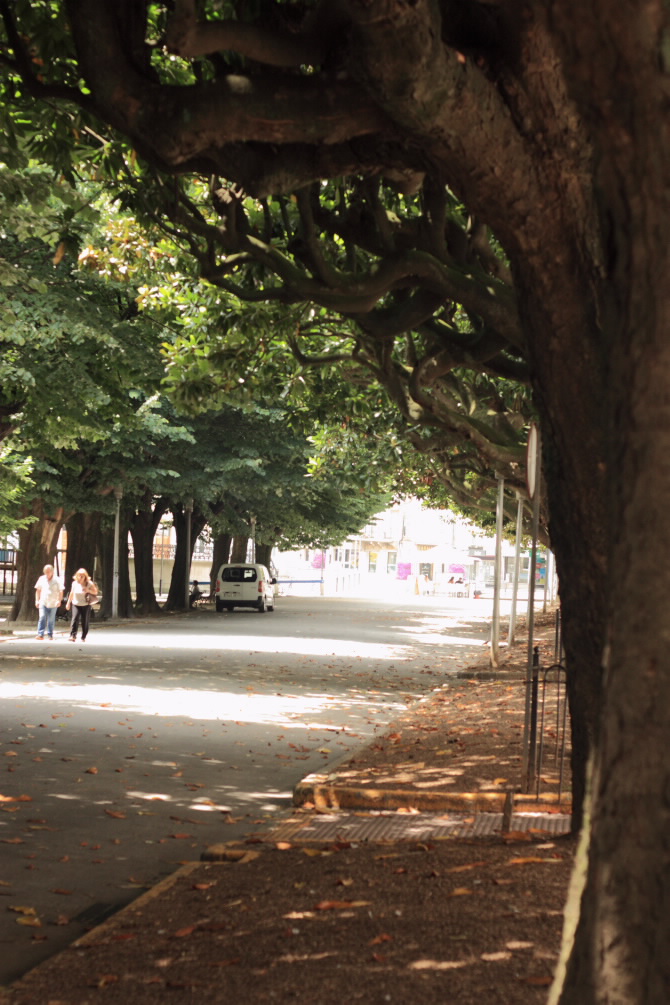 XARDÍN DO CANTÓN DE MOLÍNS