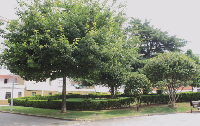 XARDÍNS PRAZA DE SEVILLA