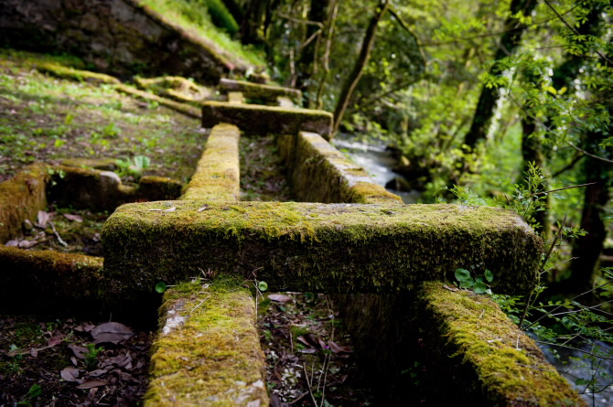 XARDÍNS DO PAZO FARAMELLO