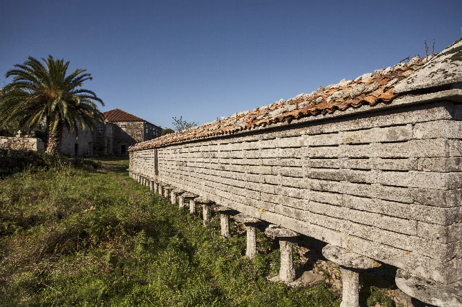 IGREXA MONACAL DE SAN MARTIÑO DE OZÓN