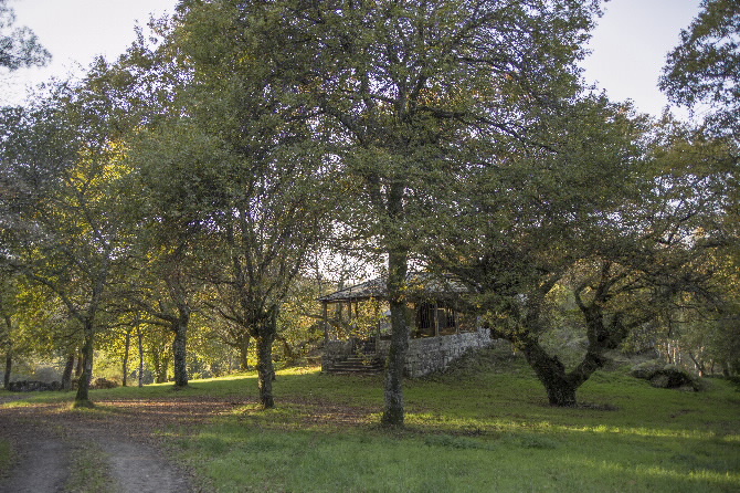 CAPELA DE SAN BARTOLOMEU DO BURGO