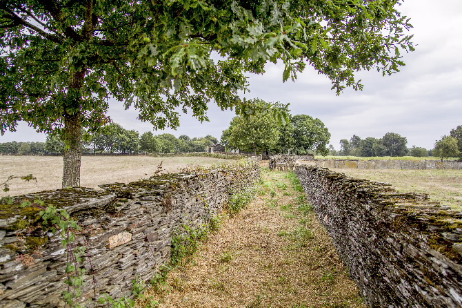 CAPELA DE SAN ROQUE, SAN XOÁN DO CAMPO