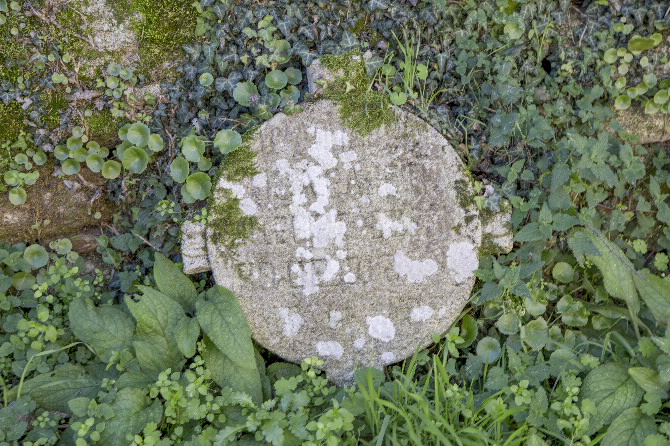 IGREXA PARROQUIAL DE SAN VICENTE DE VERAL