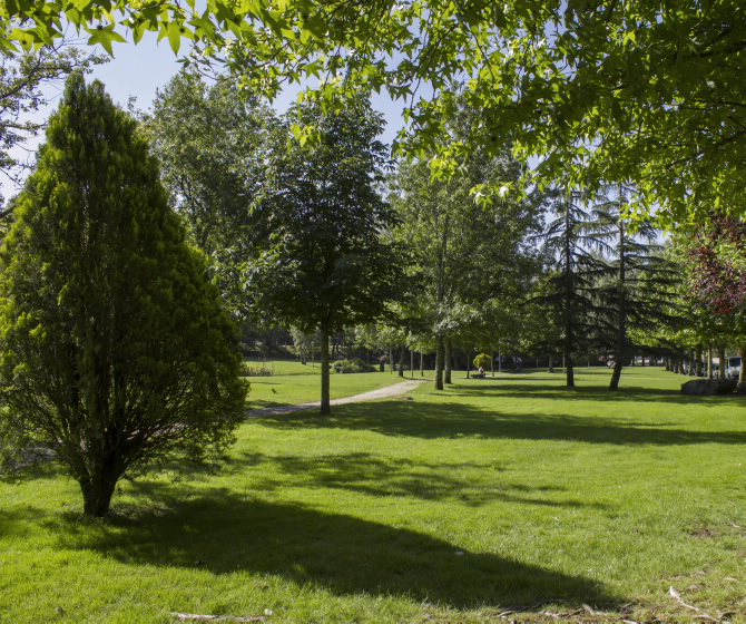 PARQUE DE LA MÚSICA EN COMPOSTELA