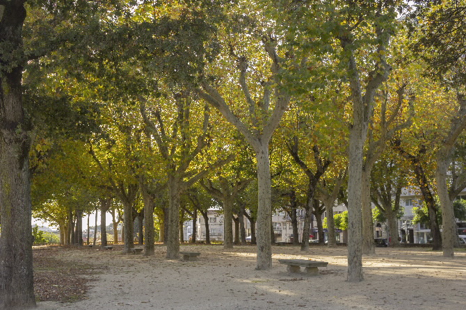 ALAMEDA E XARDÍNS DE VICENTI
