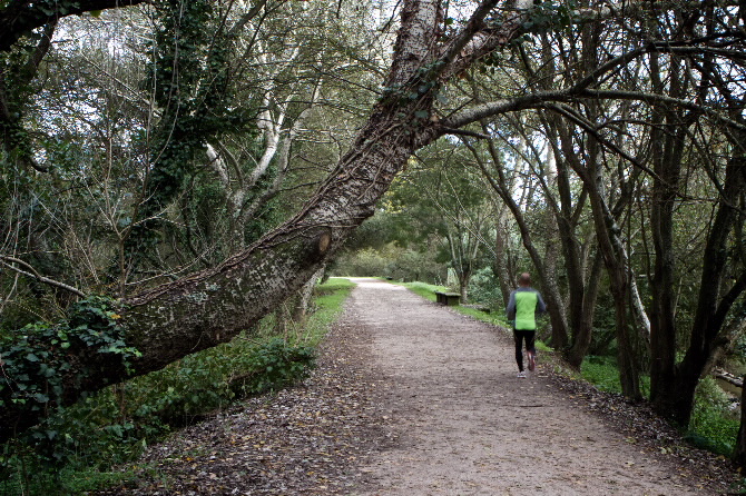 PARQUE LINEAL RÍO LAGARES