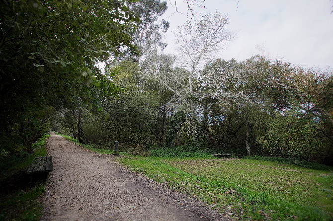 PARQUE LINEAL RÍO LAGARES