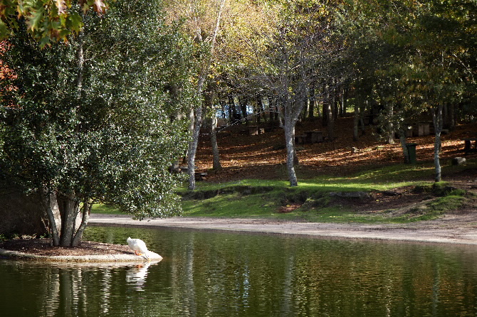 PARQUE FORESTAL MONTE DOS POZOS